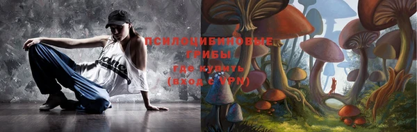 индика Россошь